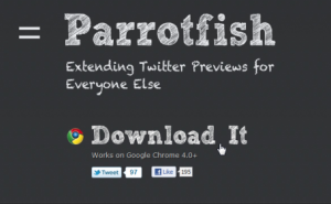 Parrotfish